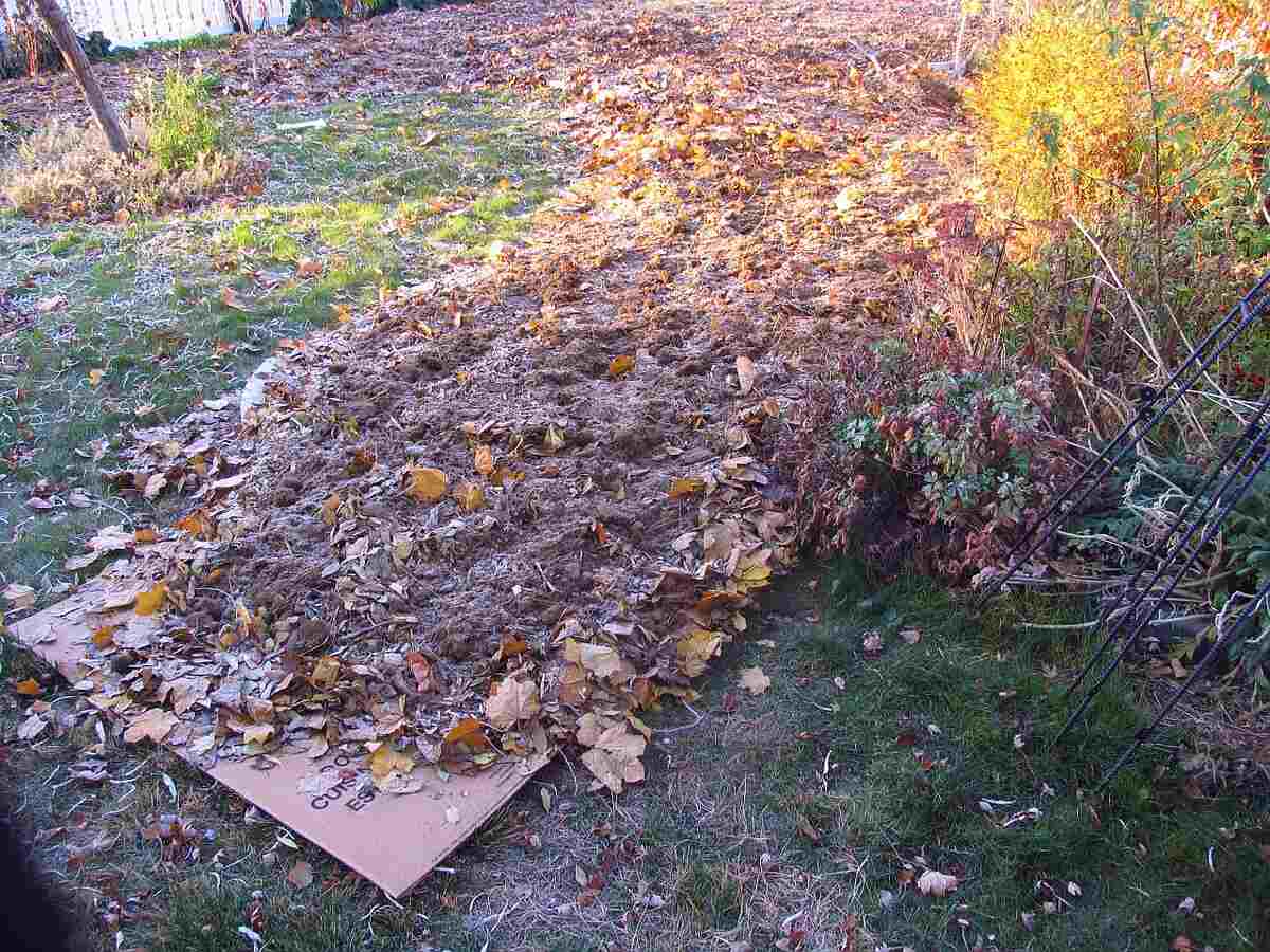 lasagna garden mulching