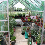 7 Things to Know Before Building a Greenhouse