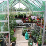 7 Things to Know Before Building a Greenhouse