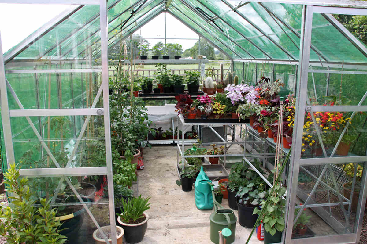 7 Things to Know Before Building a Greenhouse - Lawnstarter