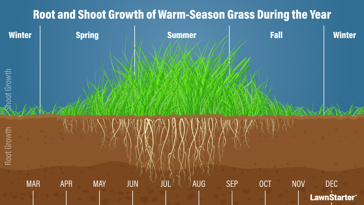 Warm Season Growth curve illustration