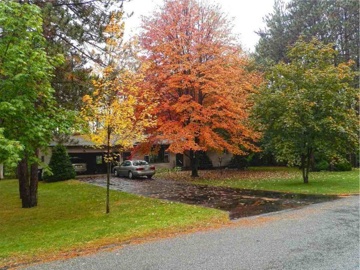 front yard tree