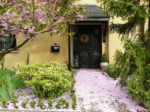 Front Yard Tree Placement: How to Pick, Plant Showpiece Trees - Lawnstarter