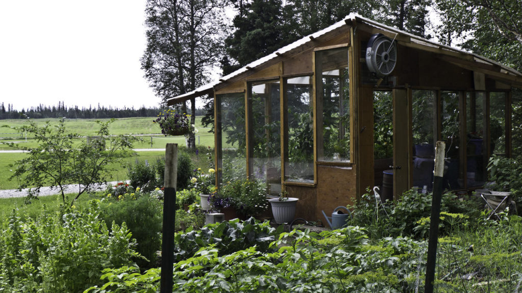 5 Greenhouses That Are Actually Homes