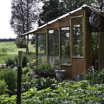 7 Things to Know Before Building a Greenhouse