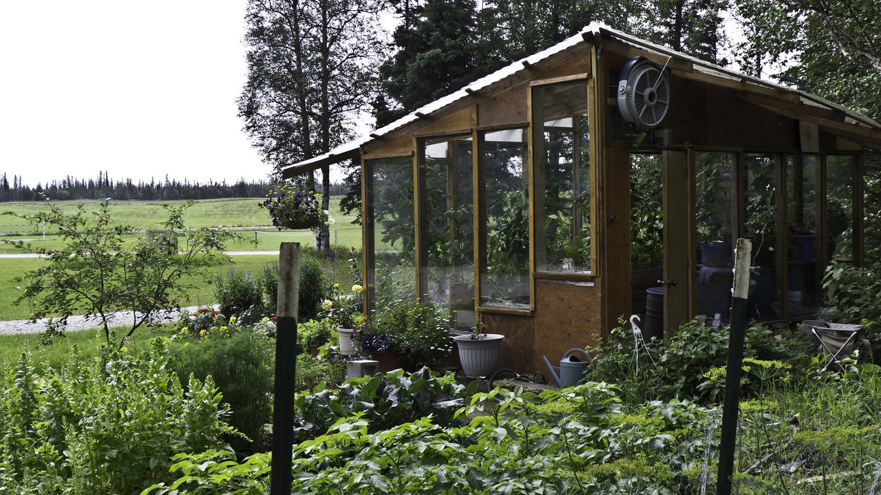 7 Things To Know Before Building A Greenhouse Lawnstarter