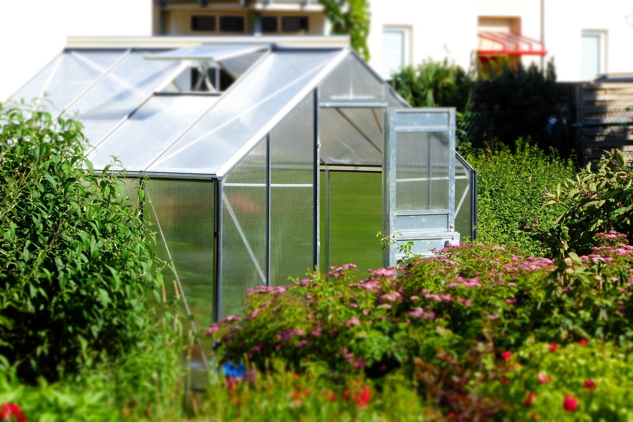 7 Things to Know Before Building a Greenhouse