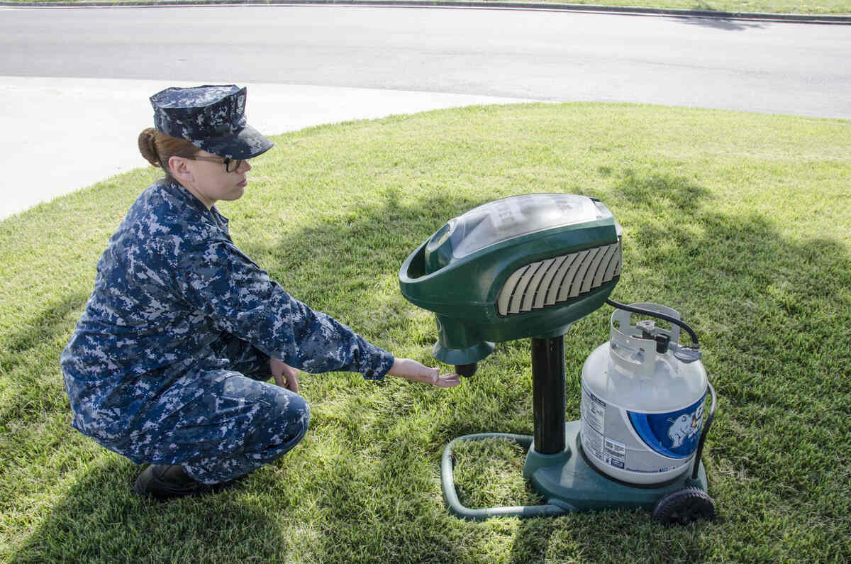 Carbon Dioxide Mosquito Traps Do They Really Work?