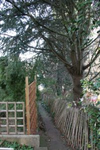 overhanging lawnstarter roots