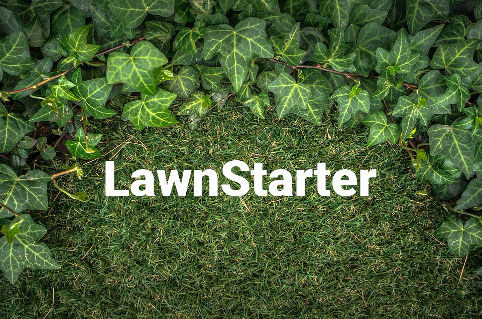 LawnStarter logo on grass with ivy