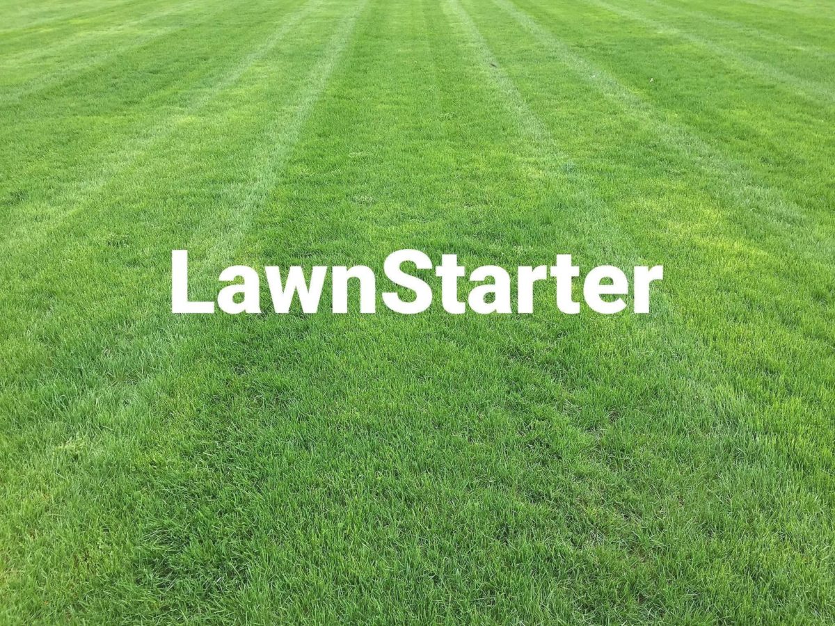 LawnStarter logo on striped lawn 3