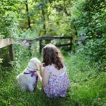 Backyard Ideas for a Dog-Friendly Landscape