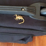 Pest Control for Scorpions