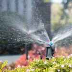 How to Winterize Your Sprinkler System