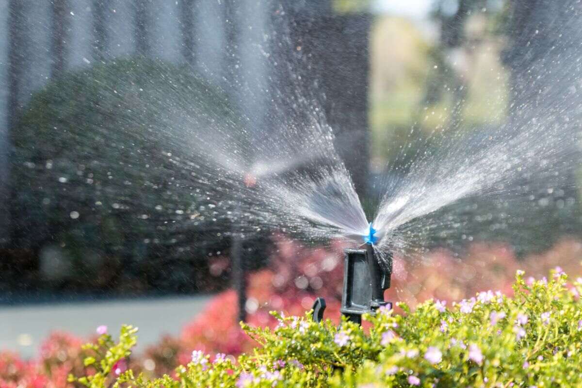 water sprinkling out of a sprinkler head