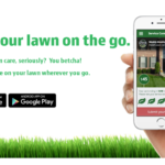 lawn on the go 2