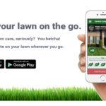 lawn on the go