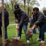 Organizations That Plant Trees Go Out on a Limb for Forests, Communities