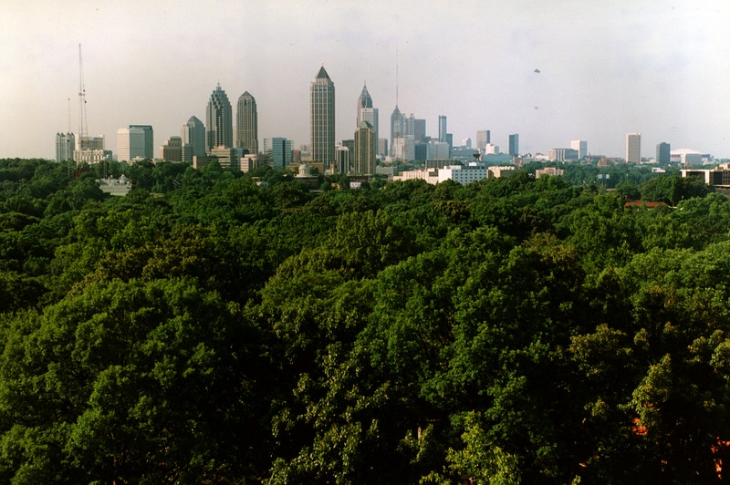 Atlanta skyline, with tree canopy