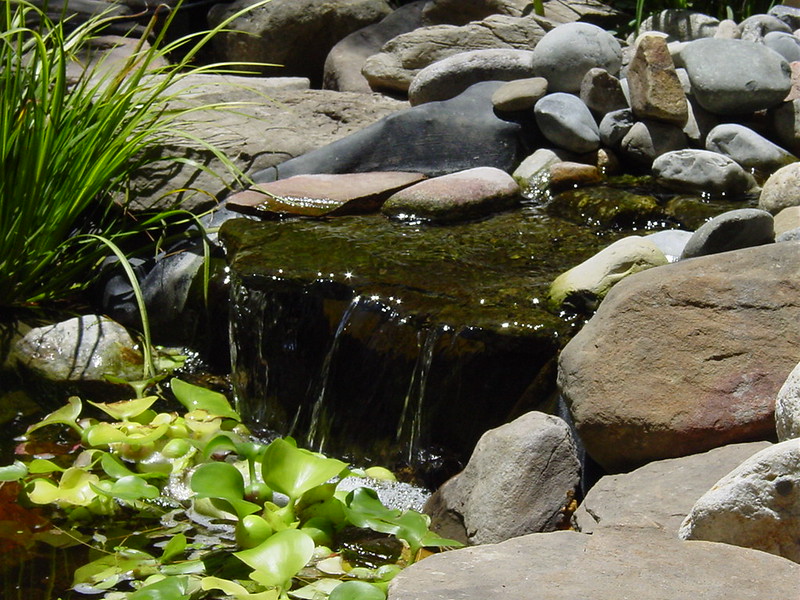 Backyard water feature