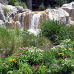 8 Hot Landscaping Trends for Orlando, Florida