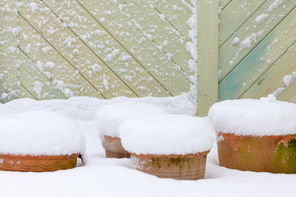 Outdoor Potted Plants In Winter When, How Do You Keep Outdoor Potted Plants Alive In The Winter