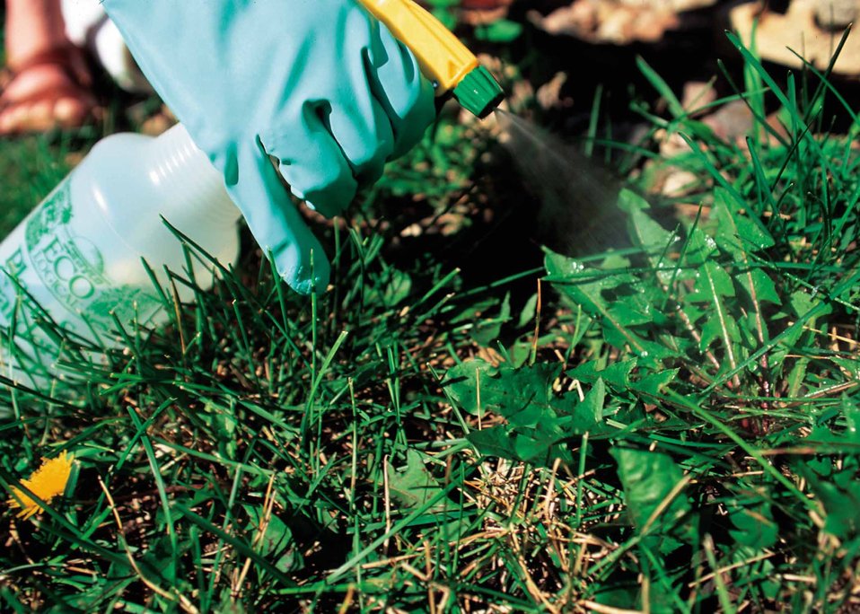 Spot-spraying weeds