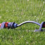 A Simple, Summer Lawn Care Guide for Detroit