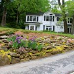 11 Low-Maintenance Landscaping Ideas for Atlanta