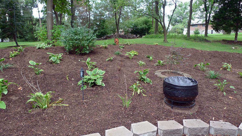 Nicely mulched hill landscape