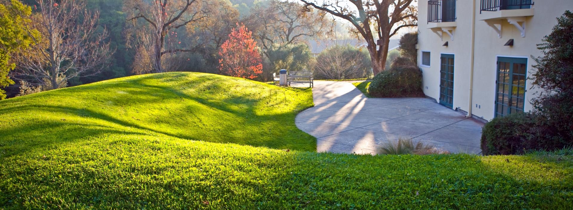 lawn in front of a house