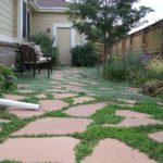 Low-Maintenance Landscaping Ideas for Denver