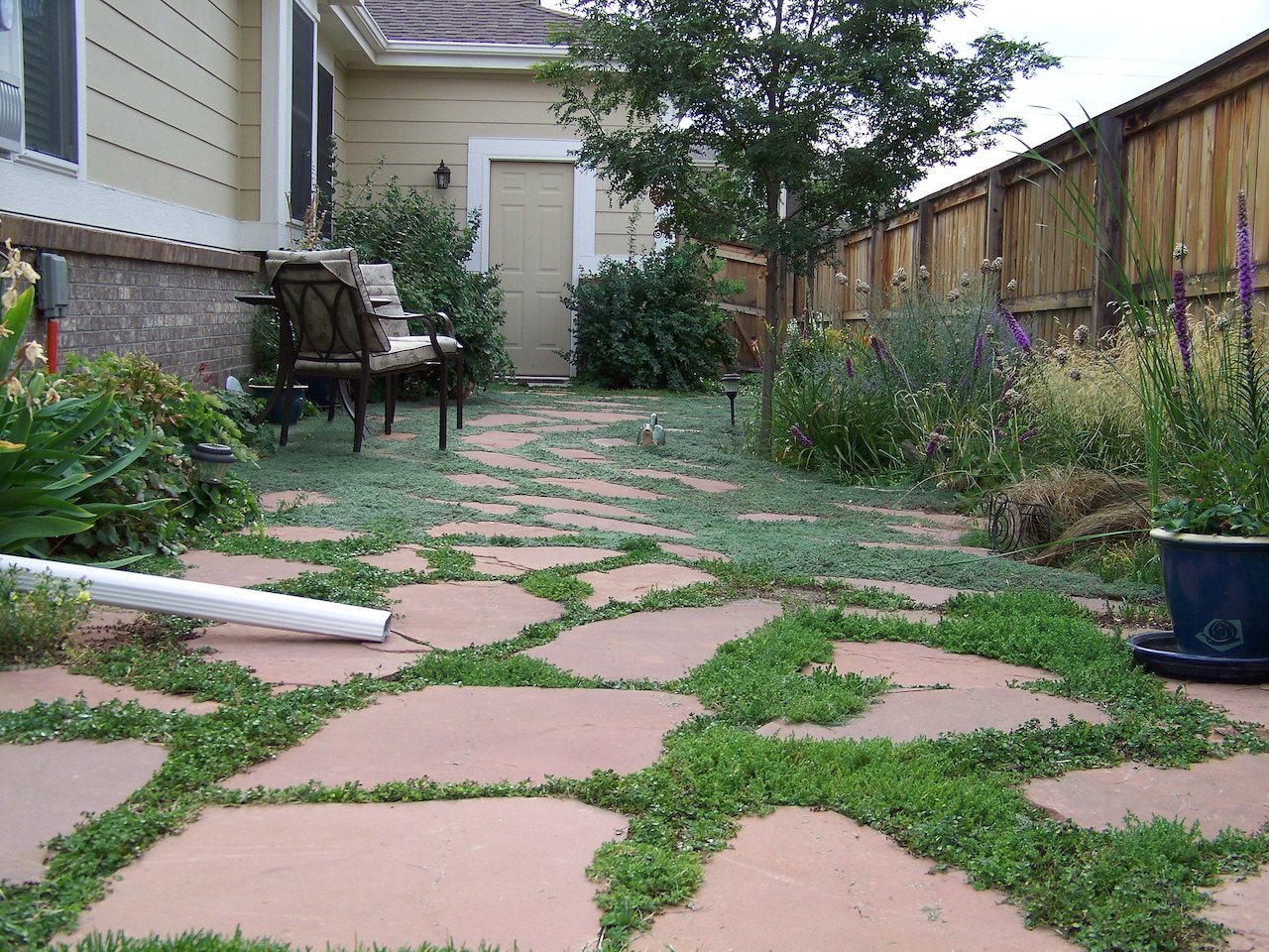 Low maintenance backyard