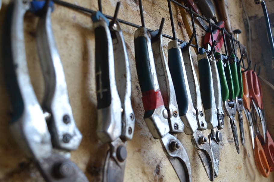 Pruning shears in a shed