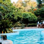 Landscaping Around Your Pool for Privacy in Dallas