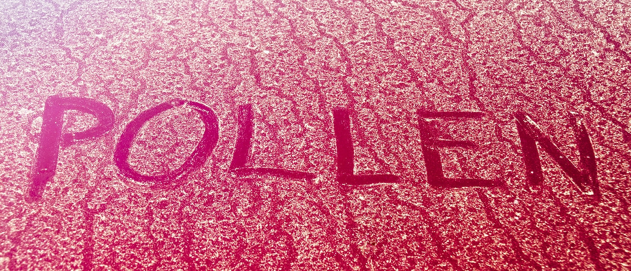 Pollen on a car