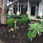 Hot Landscaping Trends in Dallas