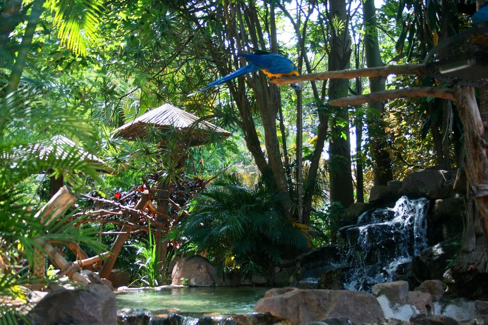 Waterfall