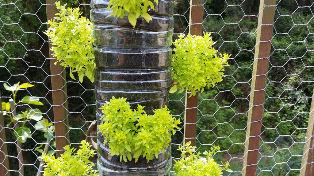 Vertical garden