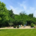 How to Landscape Your Virginia Beach Yard for Privacy
