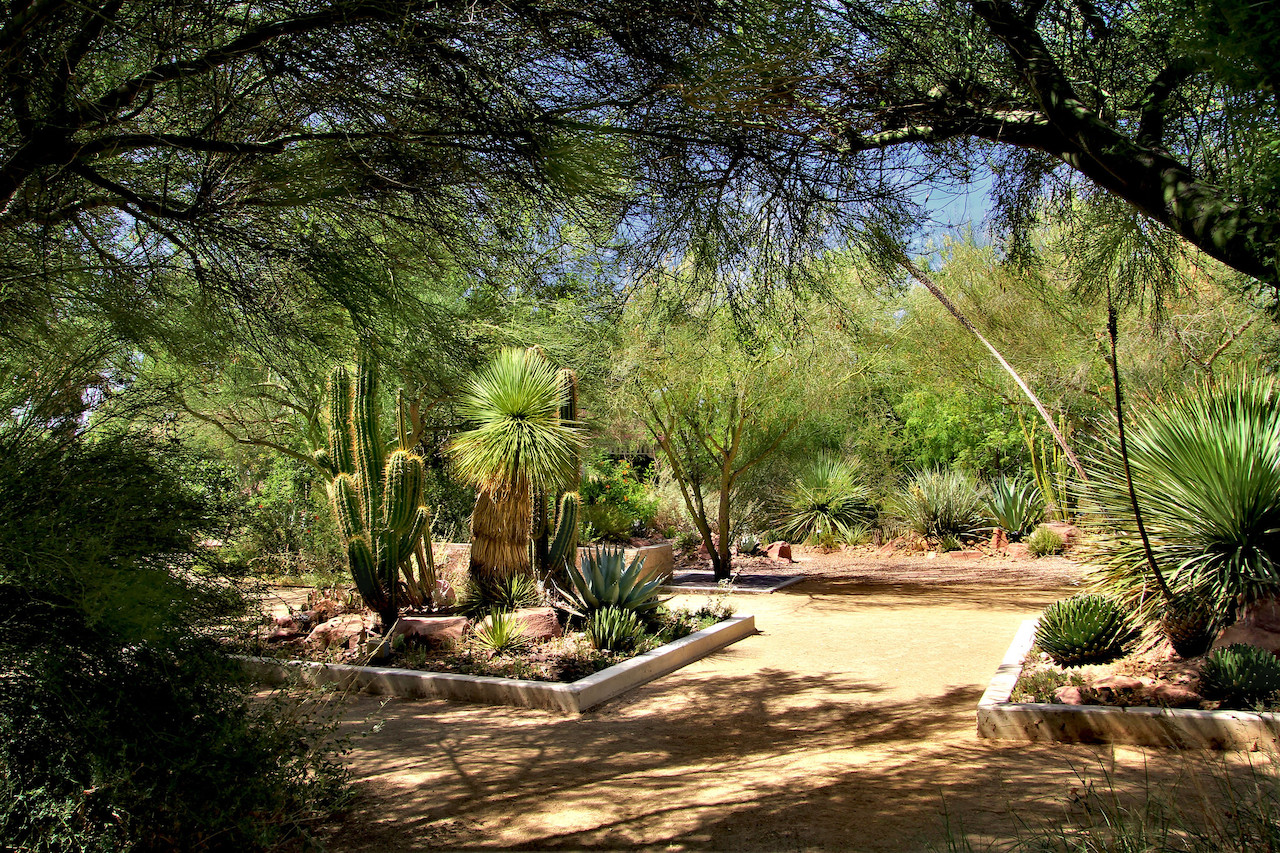 A shaded desert landscape