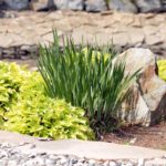 Low-Maintenance Landscaping Ideas for Richmond