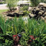 How to Landscape for Wildlife in Orlando