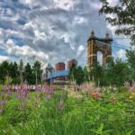 Landscaping for Each Season in Cincinnati