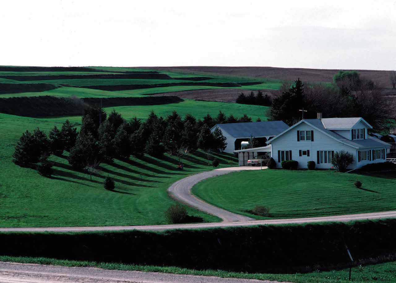 Widbreak plants around a farm