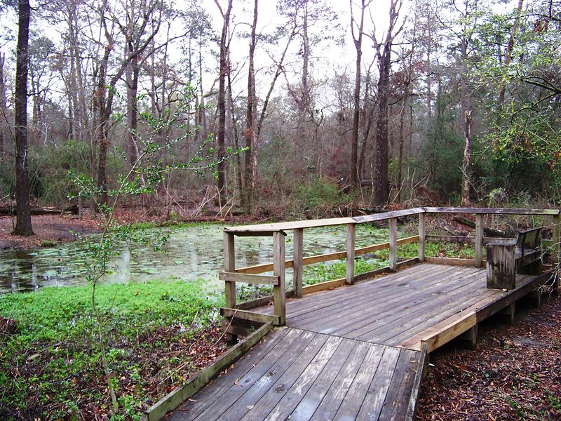 Houston Arboretum trail