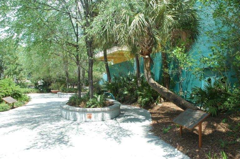 garden with a walkway