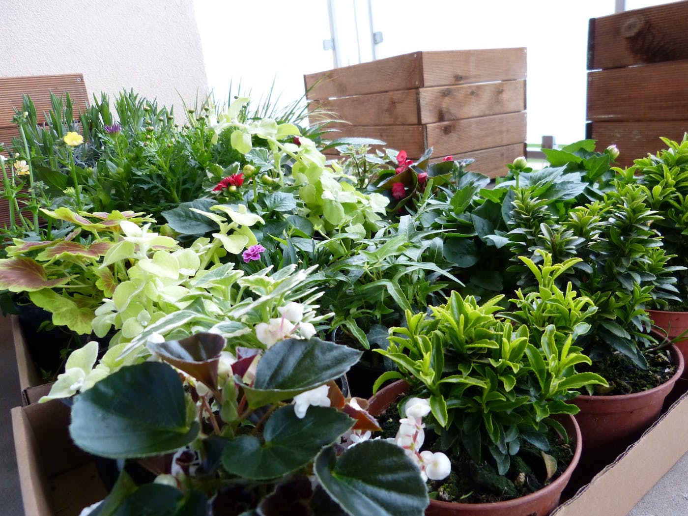 Balcony garden