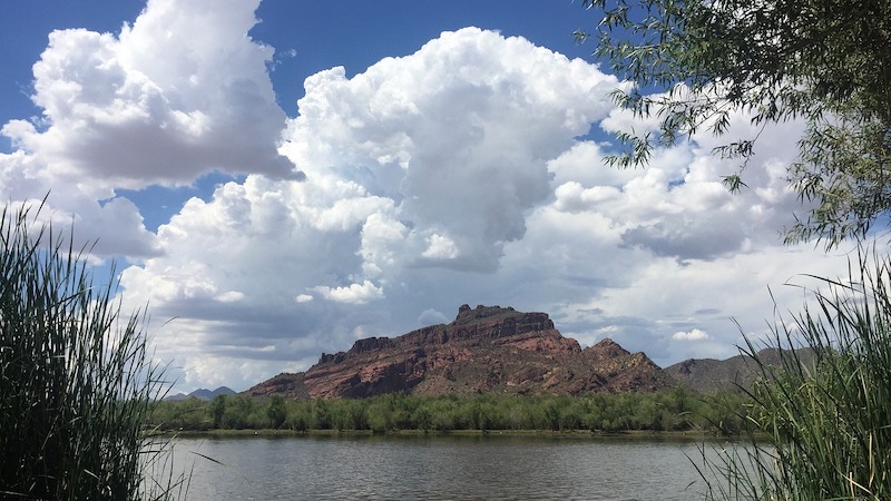 Mesa Ariz.