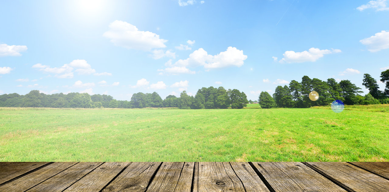 Ideal sunny day